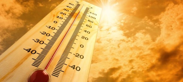 Heat wave-like condition to prevail for a week over Odisha:IMD. AMF NEWS
