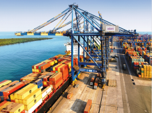 Adani Group faces land hurdle for Dhamra port expansion. AMF NEWS