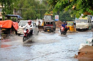 South-west monsoon further advances into Odisha. AMF NEWS