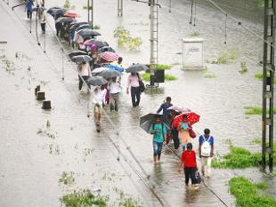 IMD predicts heavy rain in four Odisha districts; 423 houses damaged . AMF NEWS