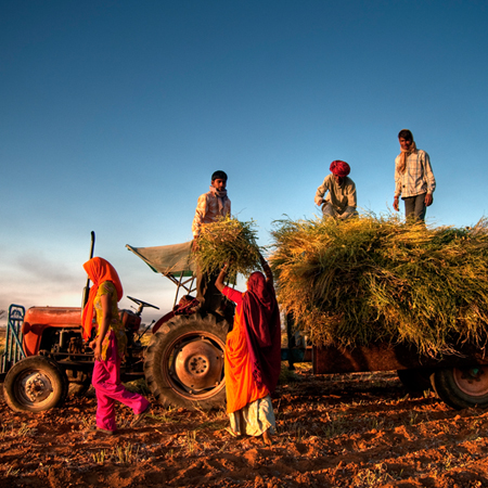 Origo Commodities signs MoU with Odisha Government to provide post-harvest & storage solutions. AMF NEWS