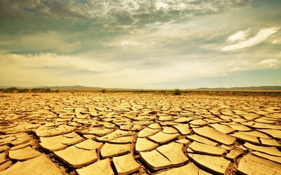 Drought looming large in Odisha. AMF NEWS