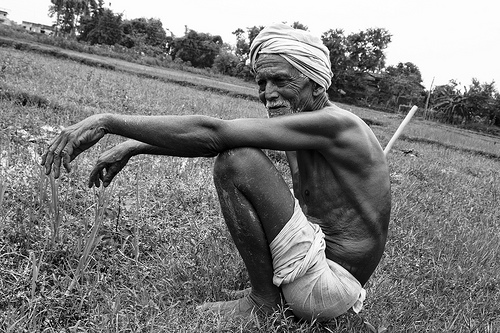 Over 3,600 farmer suicides in Odisha since 1999. AMF NEWS