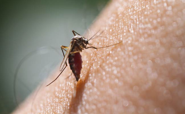 More than 3400 Students test positive for Malaria. AMF NEWS