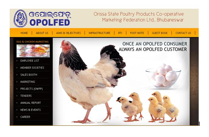 Odisha launches e-chicken portal. AMF NEWS