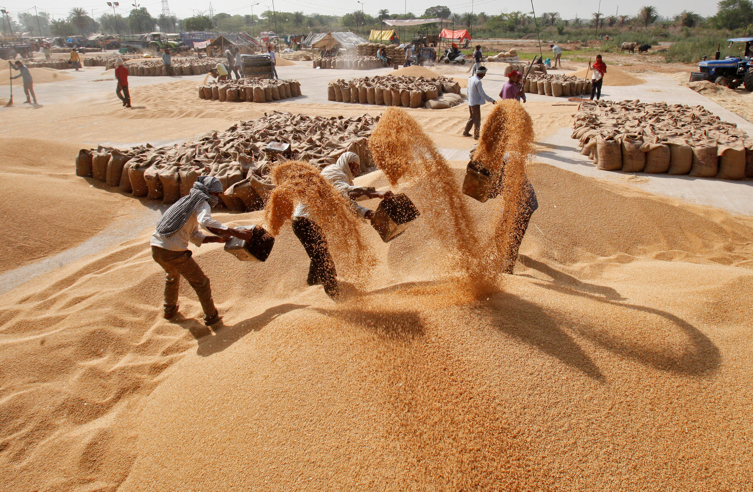 Despite government assurances, Odisha still depends on other states for its food_AMF NEWS