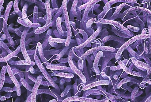 Odisha: Cholera outbreak in Rayagada district, 7 dead, many infected_AMF NEWS