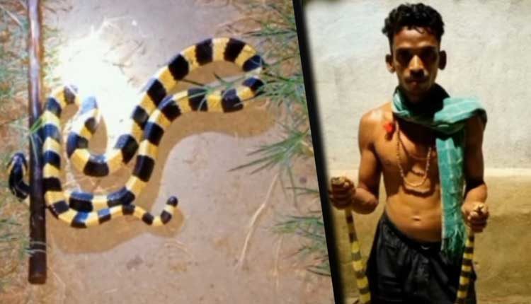 A YouTuber from Odisha was arrested for keeping snakes and chameleons_AMF NEWS