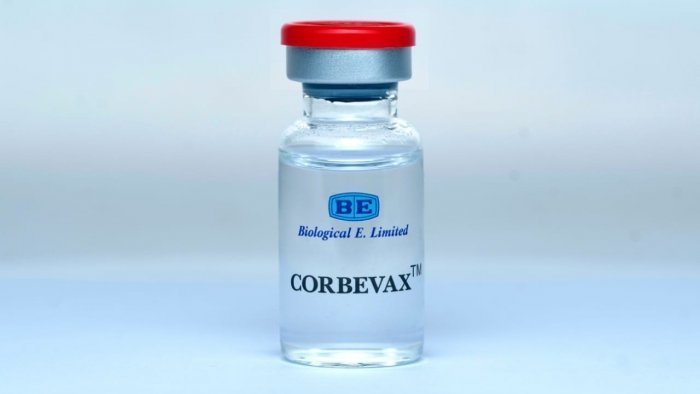 A precautionary dosage of Corbevax has been licenced as a heterologous vaccine_AMF NEWS