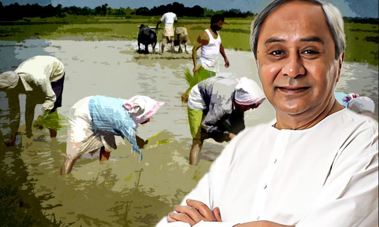 Today, 41 Lakh farmers in Odisha would receive Rs 2000 under the KALIA Scheme_AMF NEWS