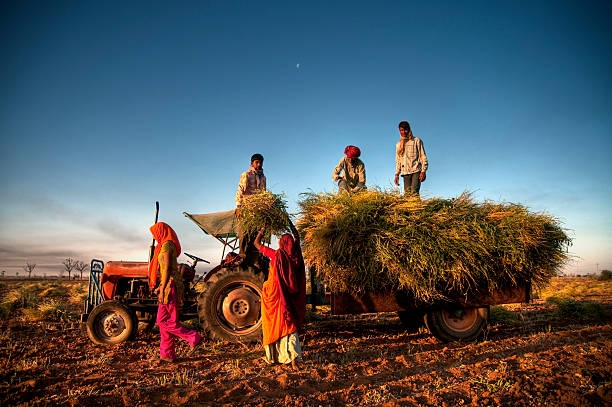 Odisha: 33% of crop insurance claims under PMFBY are still pending_AMF NEWS