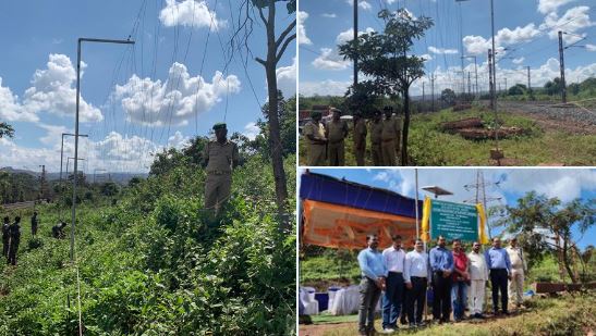 Odisha devises a hanging solar fence to keep elephants safe_AMF NEWS