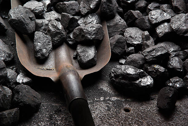 MCL Expects A 13% Increase In Odisha's Coal Production_AMF NEWS