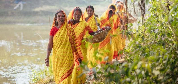 In Odisha, women are taking the lead in promoting nutrition-sensitive aquaculture_AMF NEWS