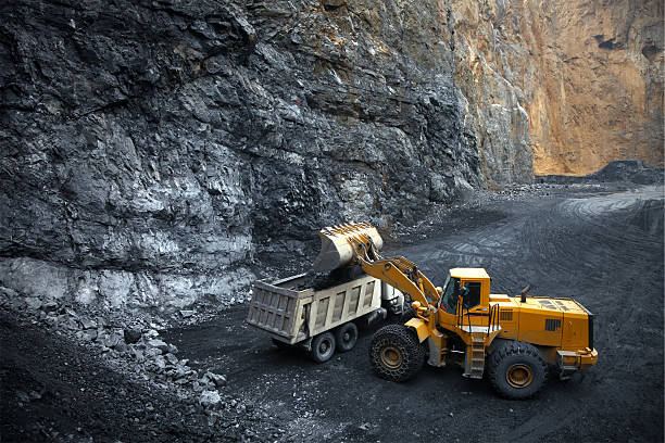 24x7 Mining: Forest Department to Explore Odisha, Jharkhand Models_AMF NEWS