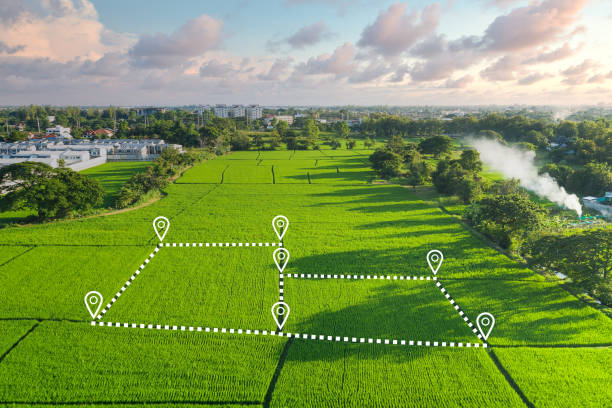 How to Sell or Purchase Land in Odisha: New Rules, Big Relief, and a Landmark Reform by the Majhi Government_AMF NEWS
